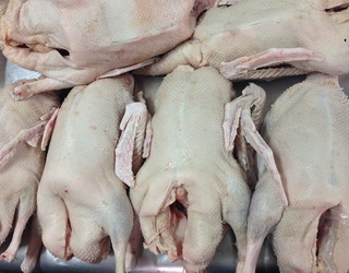 Рівненське господарство планує експортувати гусяче м'ясо до Європи